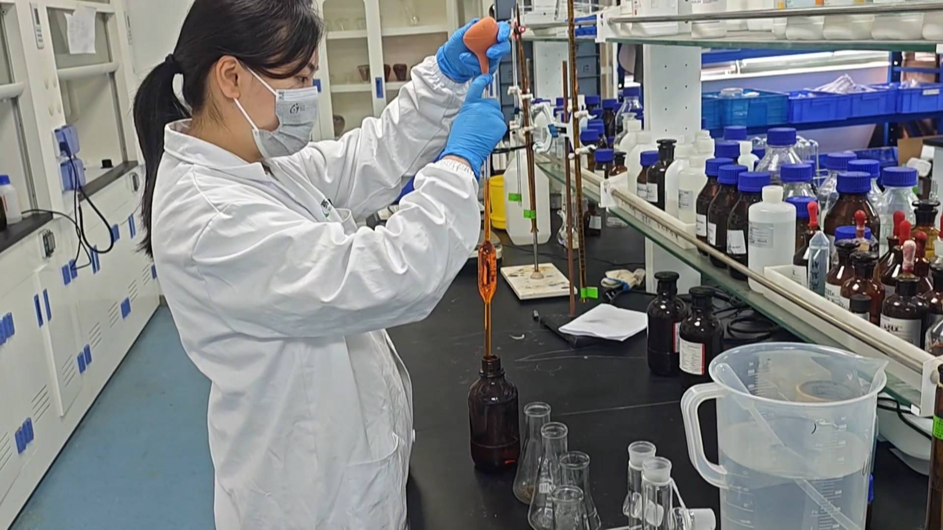 搶抓稻油輪作窗口期  皖黟縣夯實(shí)「耕基」築好糧倉