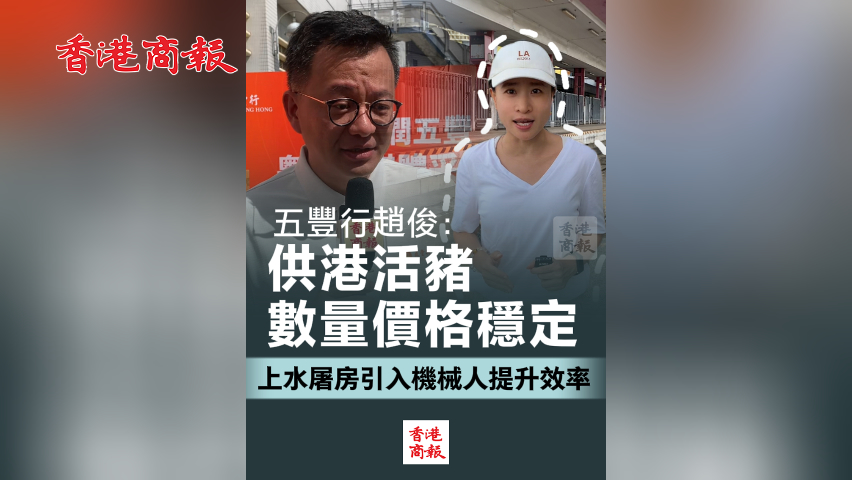 有片丨五豐行趙俊：供港活豬數(shù)量價格穩(wěn)定 上水屠房引入機械人提升效率