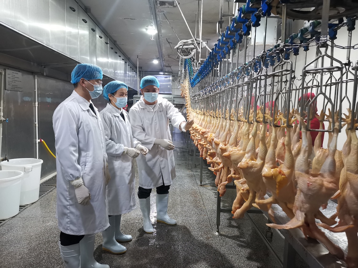 守護香港市民「菜籃子」 廣州海關(guān)今年已檢疫監(jiān)管供港冰鮮禽肉約3萬噸