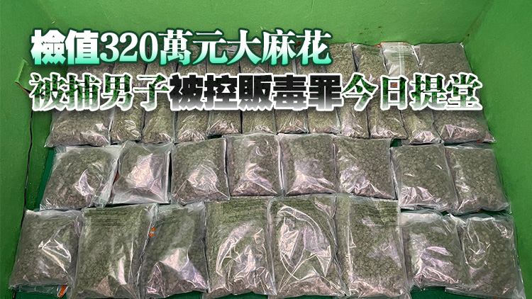 行李藏約15公斤懷疑大麻花 海關(guān)機(jī)場拘捕35歲男旅客
