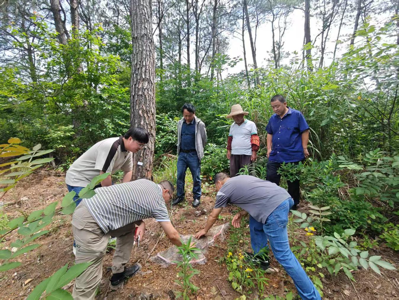 皖黟縣宏潭：築牢生態(tài)屏障 護(hù)航綠色發(fā)展