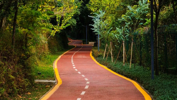 深圳生態(tài)環(huán)境質(zhì)量持續(xù)向好 全市綠道總里程超3600公里