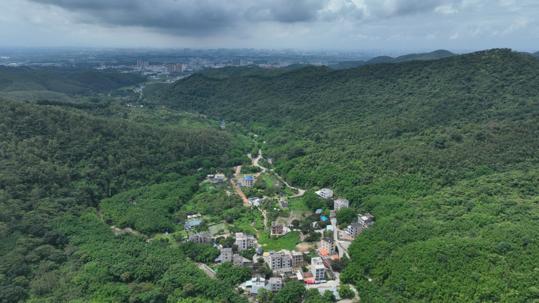 有片︱【百千萬(wàn)一齊港】環(huán)湖碧道繪就鄉(xiāng)村振興新畫卷 博羅橫河鎮(zhèn)打造「運(yùn)動(dòng)+產(chǎn)業(yè)」融合發(fā)展標(biāo)桿