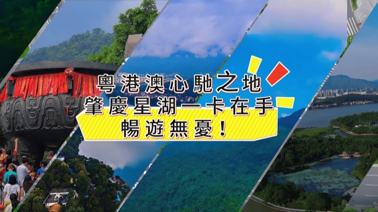 有片丨粵港澳心馳之地·肇慶星湖 一卡在手，暢遊無(wú)憂！