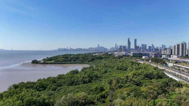 深莞惠聯(lián)合出臺廣東省首個都市圈生態(tài)環(huán)保規(guī)劃