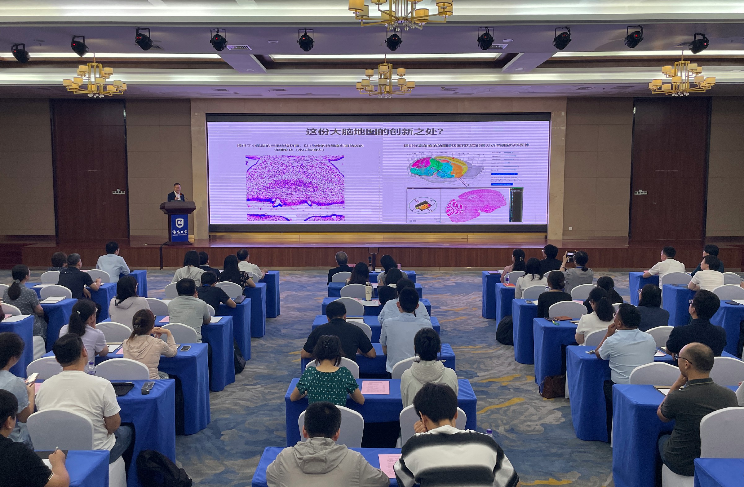 海南大學(xué)「腦部樂(lè)高圖譜」實(shí)現(xiàn)全腦1微米精準(zhǔn)定位登上《Nature》