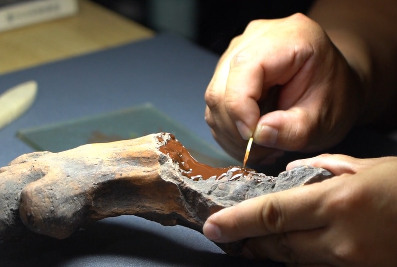 高句麗文化煥發(fā)新的時代光彩（之四）考古訓練營——讓遊客深度感受高句麗文化