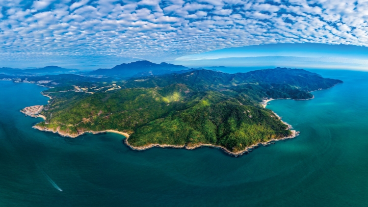 深圳大鵬：以招商引資新突破助推經濟高質量發(fā)展