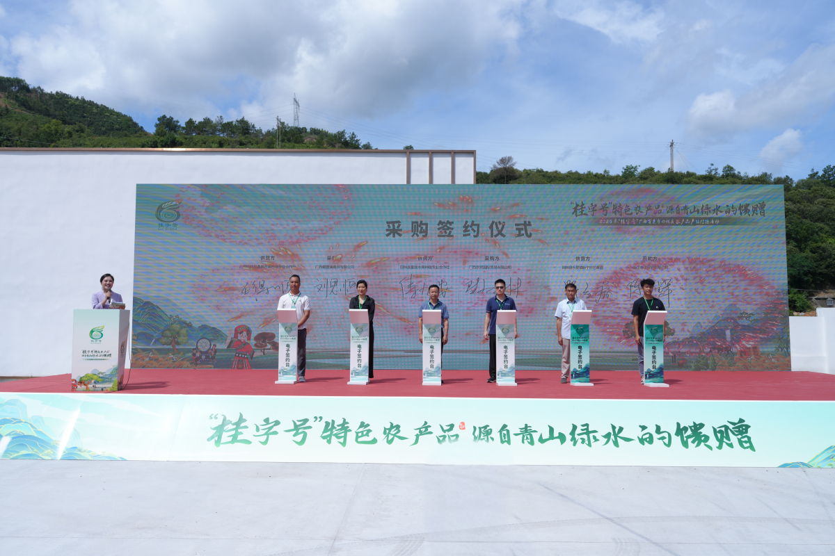 桂田林芒果「金色之約」吸金2000萬錯峰上市贏市場