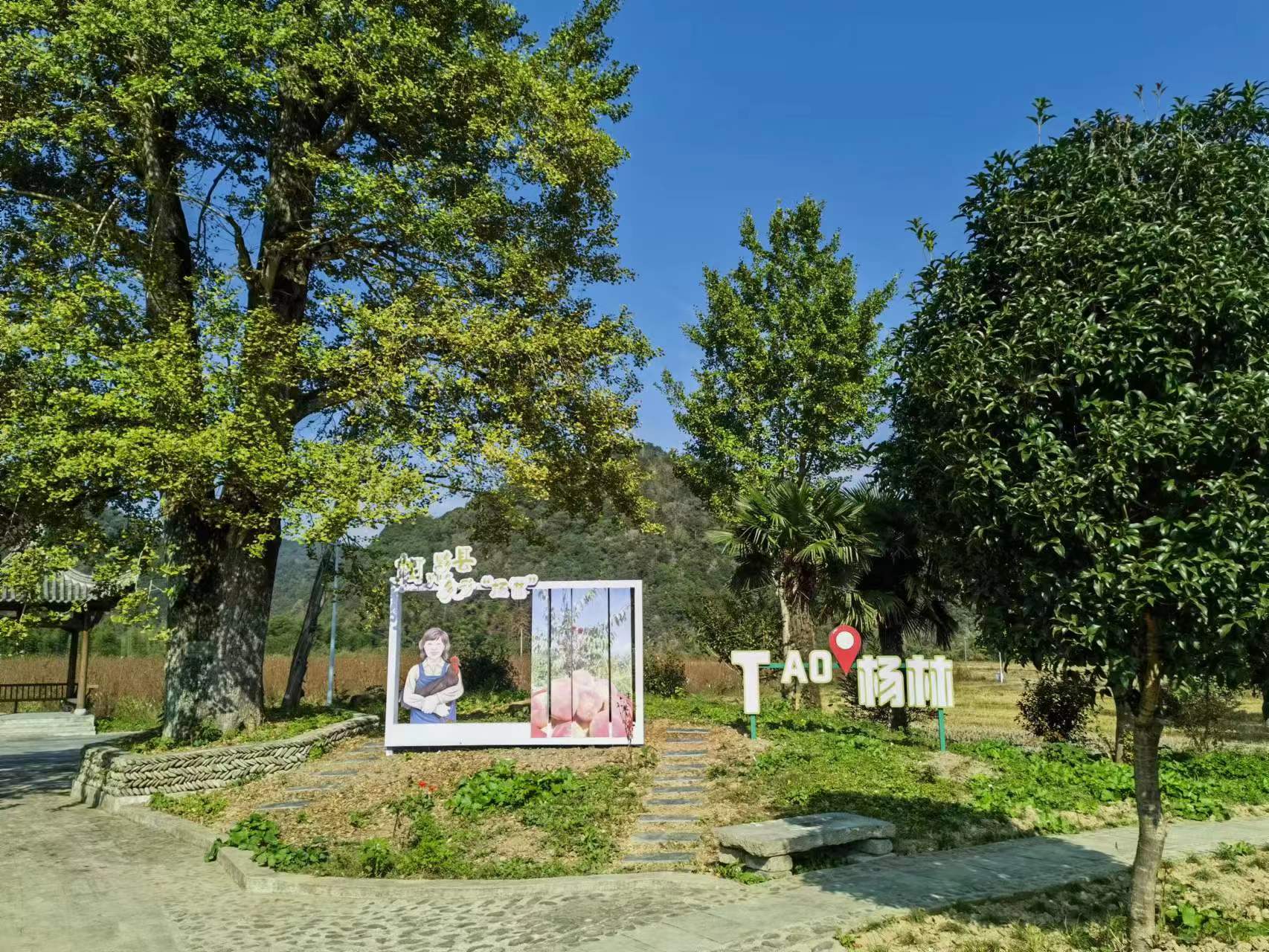 皖黟縣宏潭：「和美」底色更濃  民生溫度更暖