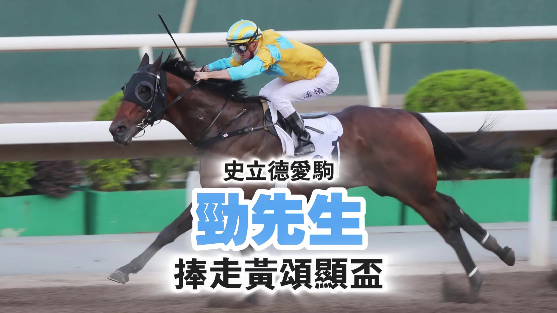 有片｜主席賽馬日 史立德愛駒勁先生捧黃頌顯盃