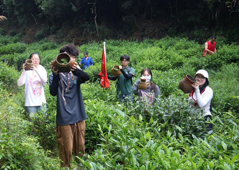 皖祁門：暑期實踐別樣體驗