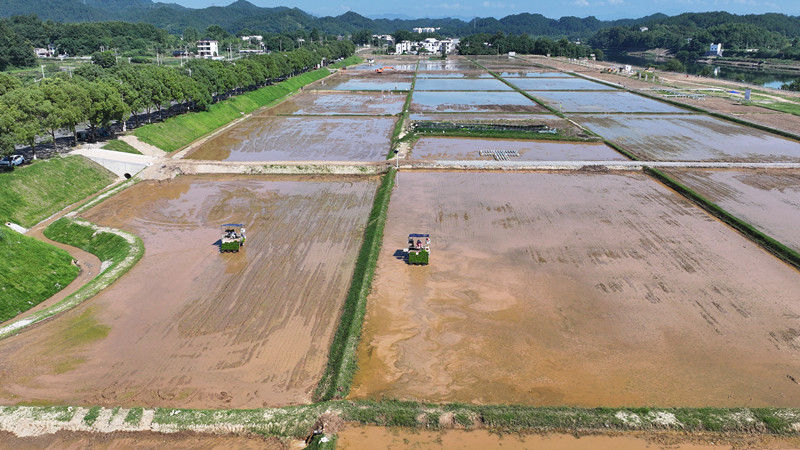 瘠土變良田 皖屯溪屯光鎮(zhèn)奏響鄉(xiāng)村振興「田園曲」