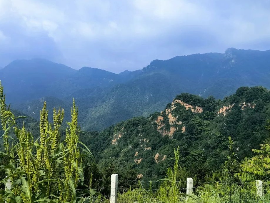 【樹成煮字】駝梁山散記