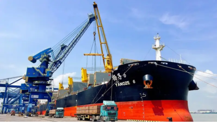 1.5萬噸中纖板首航阿爾及利亞，東莞港開通非洲新通道