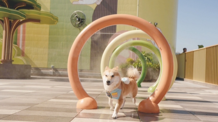 西沙GO PARK推《GO FUN夏水禮！》