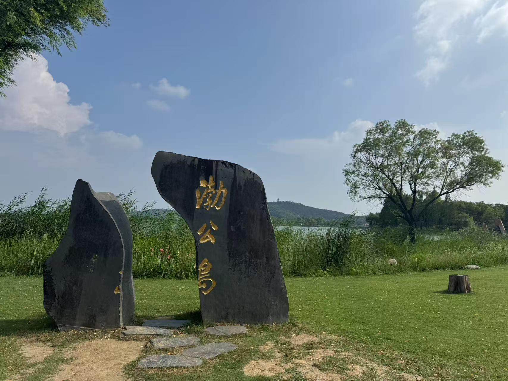 【灣區(qū)媒體無錫行】碧波映城、藝術賦能 無錫生態(tài)文旅展新貌