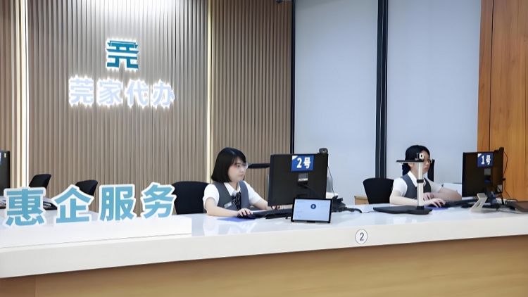 港澳居民享便利 東莞政務(wù)服務(wù)中心首設(shè)信用報告人工查詢專窗
