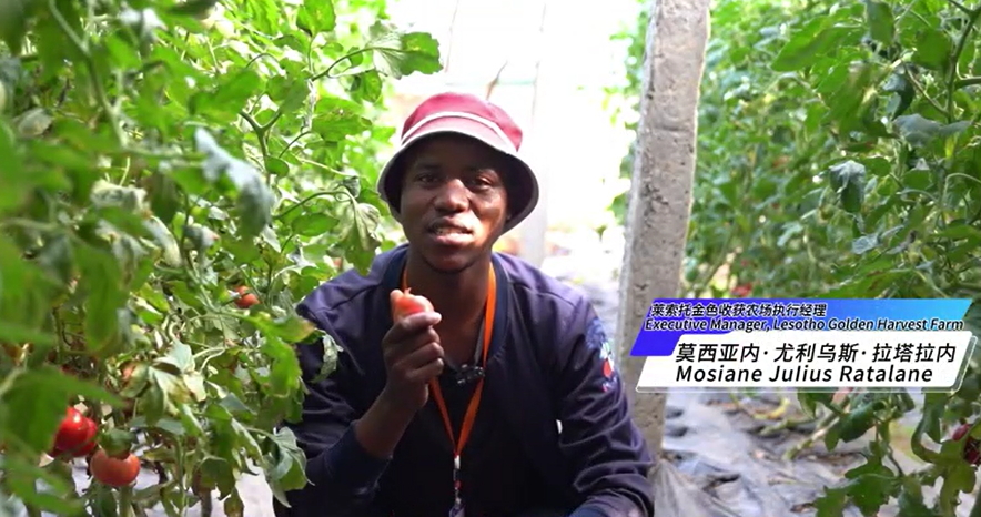 【視聽山東】27名外國(guó)友人探訪「泰山七仙女」的成長(zhǎng)秘訣