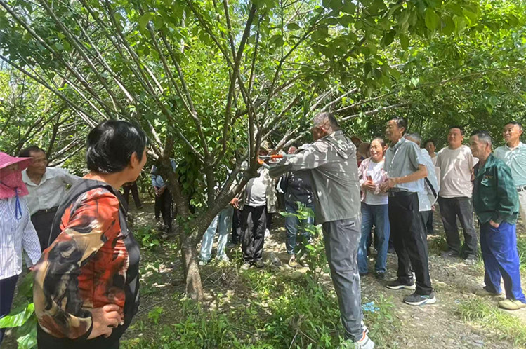 皖黟縣：「訪企入村」優(yōu)作風 紓困解難促發(fā)展