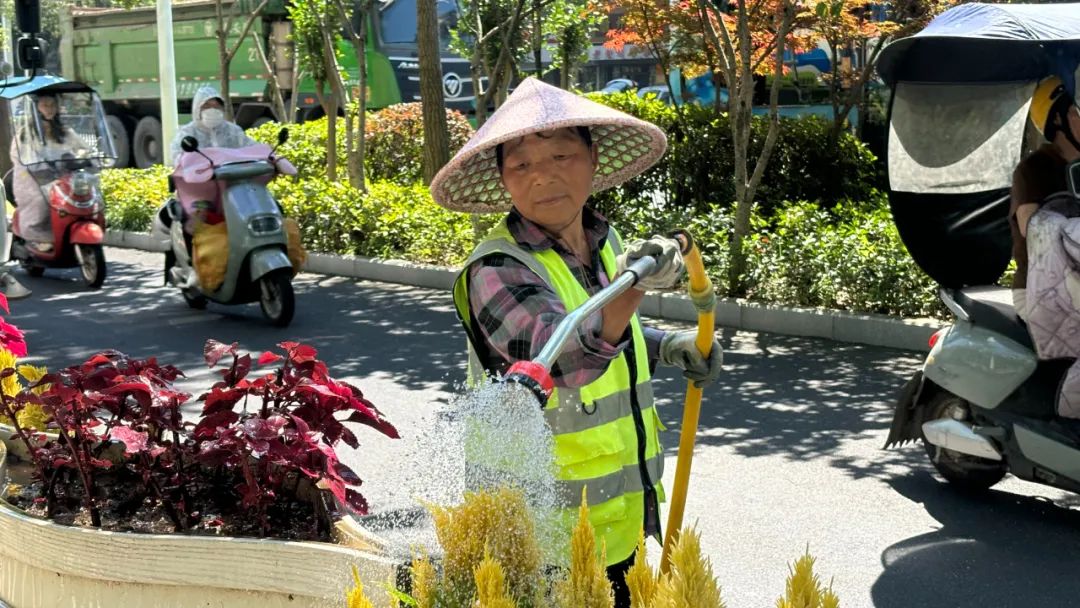 皖屯溪區(qū)：多措打響城市夏日「護(hù)綠戰(zhàn)」