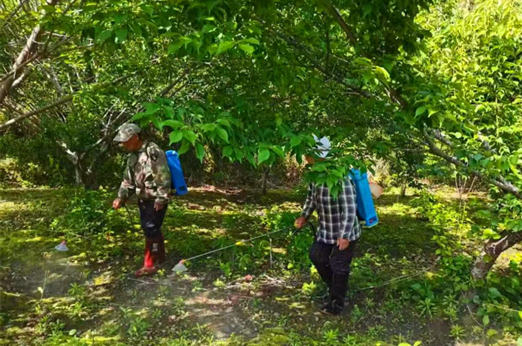 【港商觀(guān)察】皖黟縣西遞鎮(zhèn)：推行「積分制」  鄉(xiāng)村「智」理啟新篇