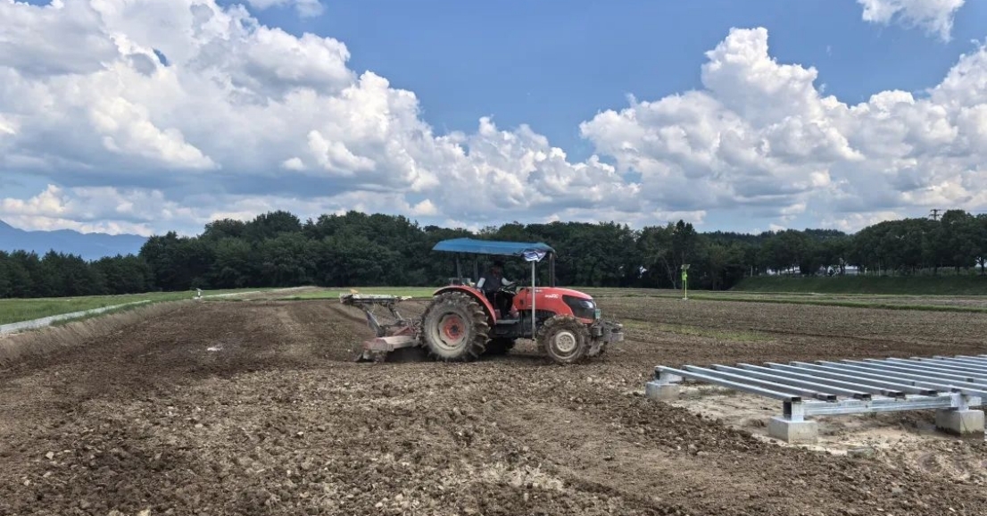 皖屯溪屯光鎮(zhèn)：「油菜+油葵」輪作 「空閒田」變成「增收田」