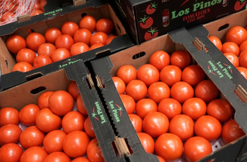 美國宣布對墨西哥番茄徵收17.09%關(guān)稅 同時(shí)退出反傾銷協(xié)議