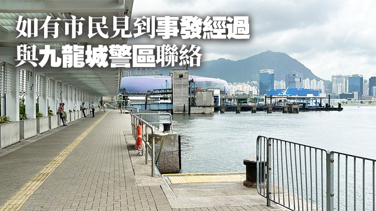 追蹤報(bào)道｜推9歲男童落海 警方調(diào)查疑犯犯案動(dòng)機(jī)及精神狀態(tài)等