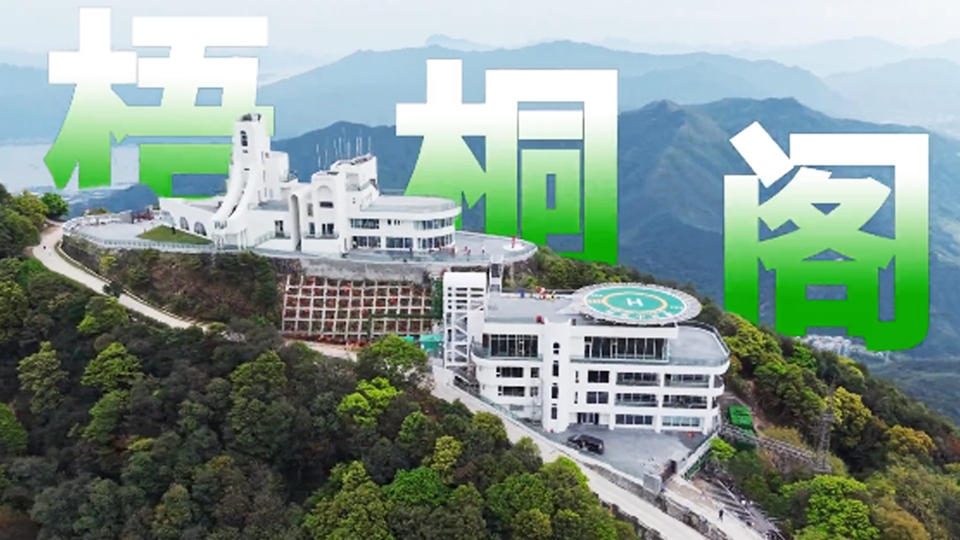 6分鐘縱貫繁華商圈至生態(tài)秘境 深圳梧桐山開(kāi)通城市低空觀光新航線