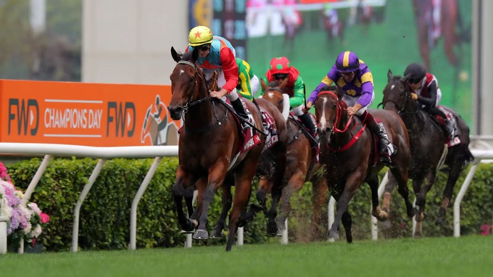 有片｜香港冠軍級佳駟閃耀世界舞臺 應家柏：吸引全球馬迷注視