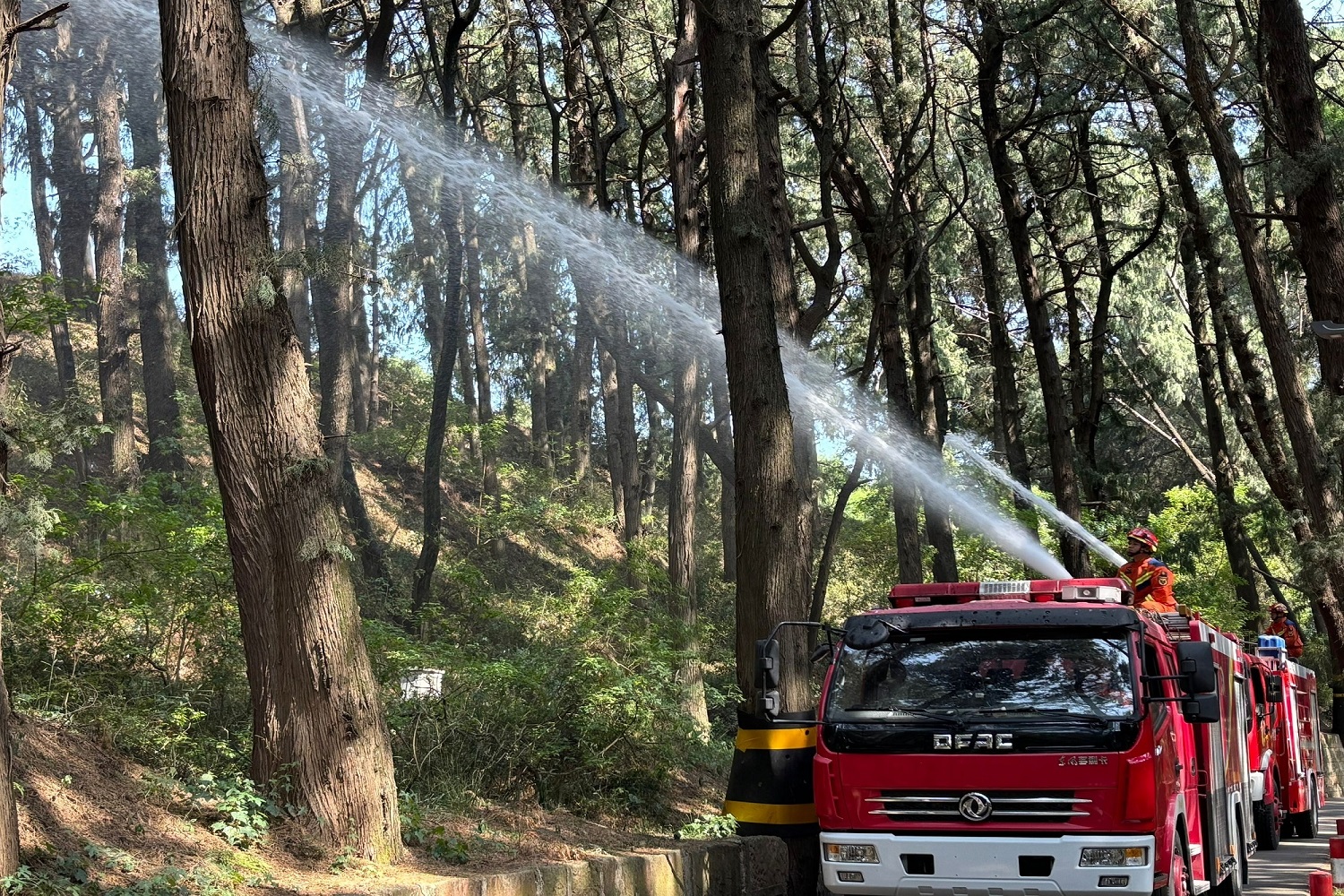 「三防合一」 四川梓潼戰(zhàn)高溫全面守護(hù)11835株古柏安全
