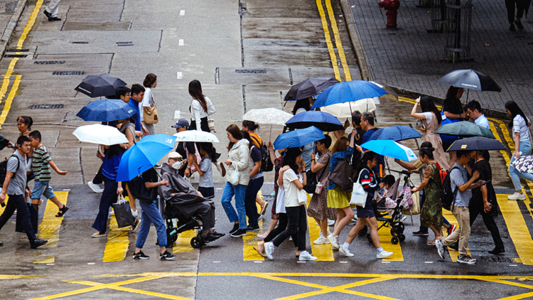 韋帕颱風(fēng)︱新渡輪橫水渡航線尾班船提早開(kāi)出