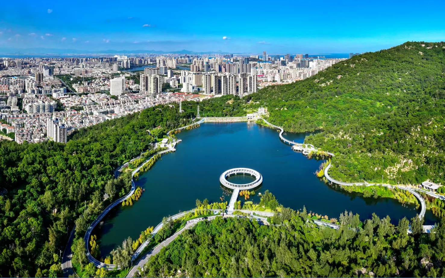 從「九八投洽會(huì)」到「永不落幕的營(yíng)商服務(wù)」 僑企緣何在福建廈門扎堆生根？