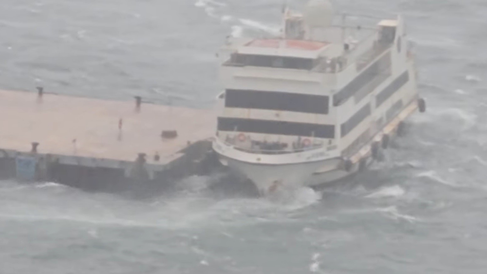 堅尼地城船隻撞碼頭 電視臺採訪車被塌樹擊中