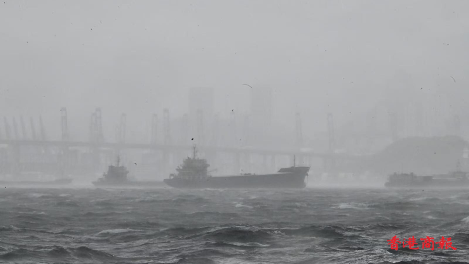 颱風(fēng)「韋帕」襲港 為歷來第17個十號颶風(fēng)信號