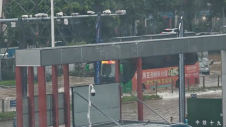 「韋帕」造成深圳800多輛車受損 未出現(xiàn)人員傷亡事故