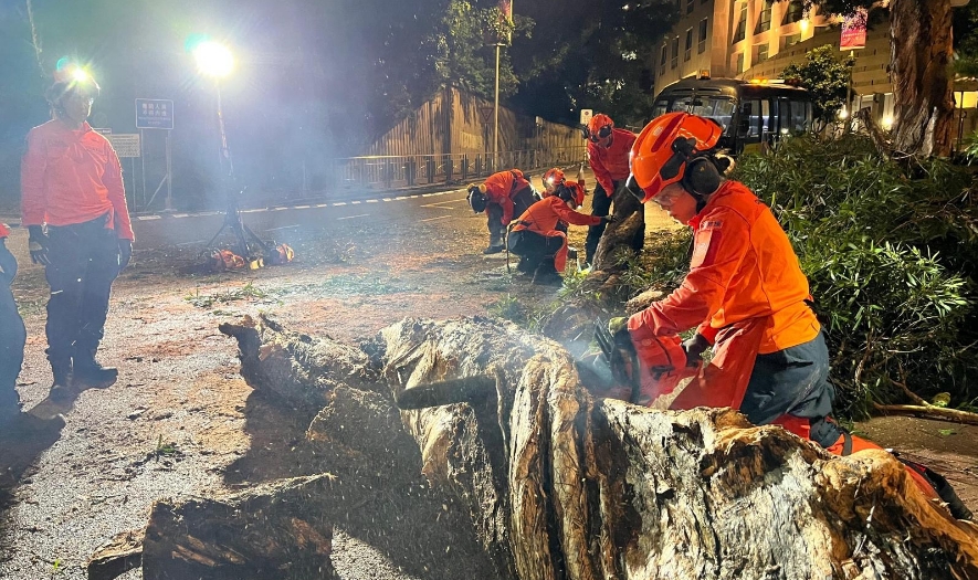 民安隊(duì)颱風(fēng)期間動(dòng)員清理水浸塌樹 協(xié)助社區(qū)復(fù)原