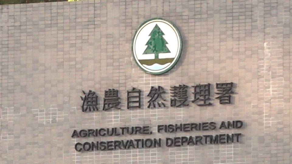 7·22起受颱風(fēng)「韋帕」影響農(nóng)戶可向漁護署申請緊急救援基金