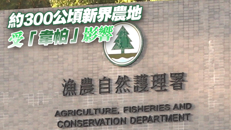 7·22起受颱風(fēng)「韋帕」影響農(nóng)戶(hù)可向漁護(hù)署申請(qǐng)緊急救援基金