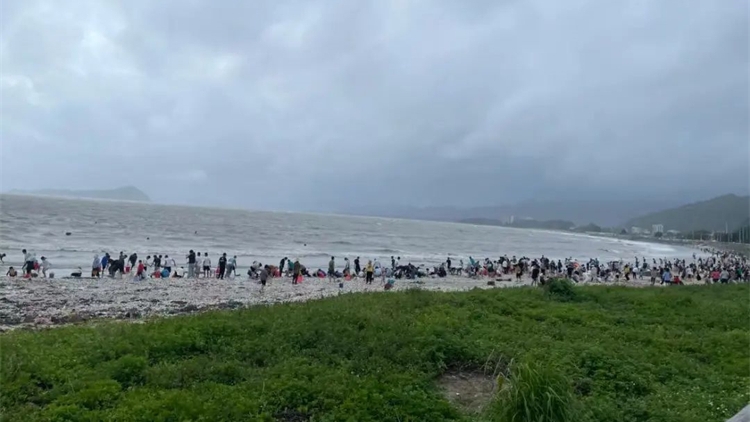 廣東海灘颱風(fēng)後出現(xiàn)大量海鮮 專家：不宜食用