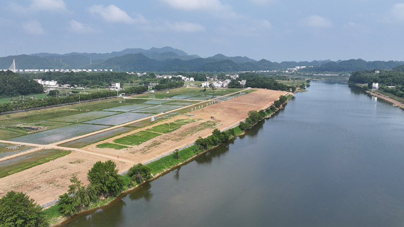 讓「荒灘」變「花?！?皖屯溪屯光巧繪「綠富同興」新圖景