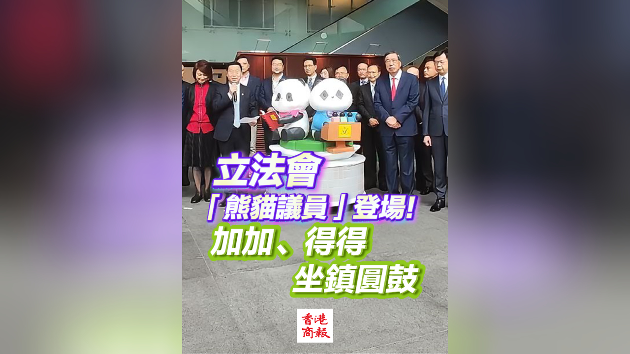 有片丨立法會(huì)「熊貓議員」登場(chǎng)！加加、得得坐鎮(zhèn)圓鼓