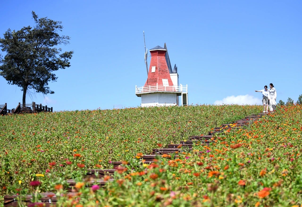 安徽巢湖尖山湖：花?？楀\繡 碩果醉遊人