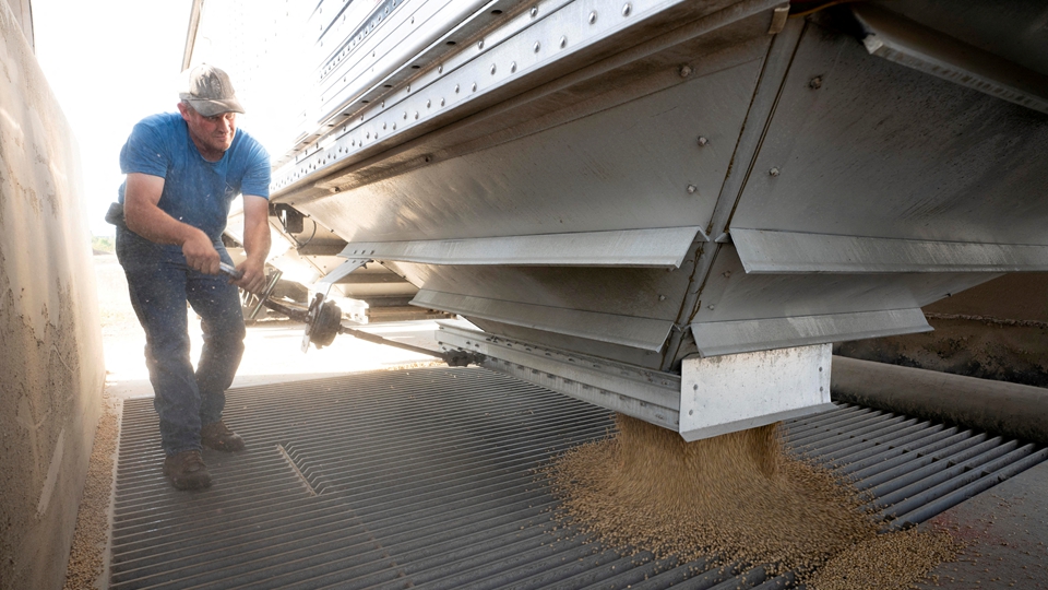 極端天氣頻發(fā) 多國基本食品大幅漲價
