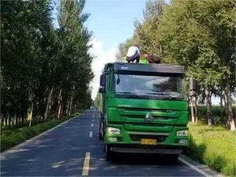 冰城公安：以劍盾護(hù)路暢 似春風(fēng)暖迷途