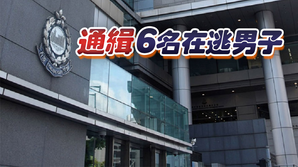 屯門瑣事起爭執(zhí)男子被伏擊 警方一日閃電破案拘5人