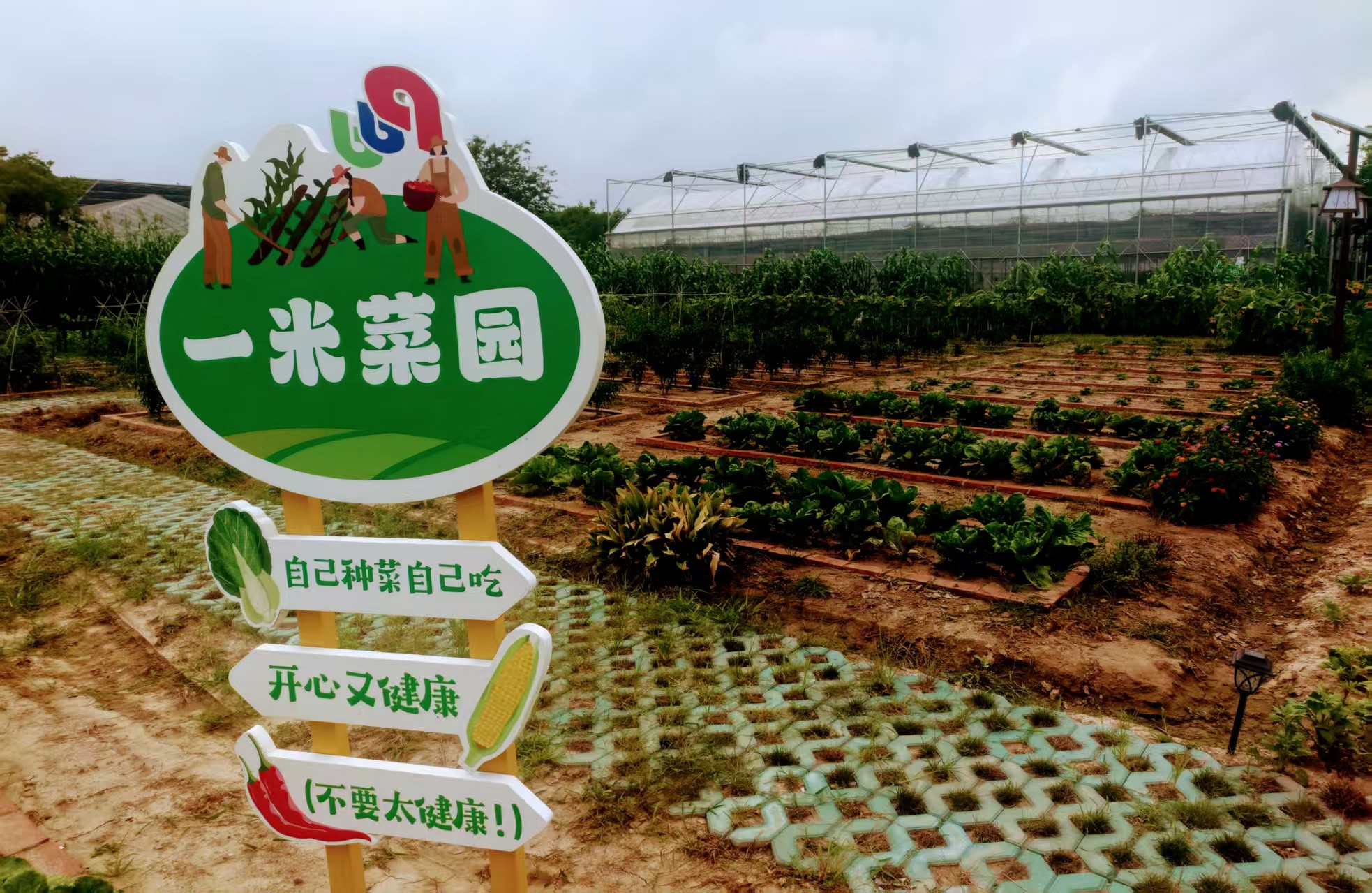 臺(tái)商崇明669生態(tài)園再拓版圖康糖營(yíng)培訓(xùn)基地推「滬臺(tái)好物」