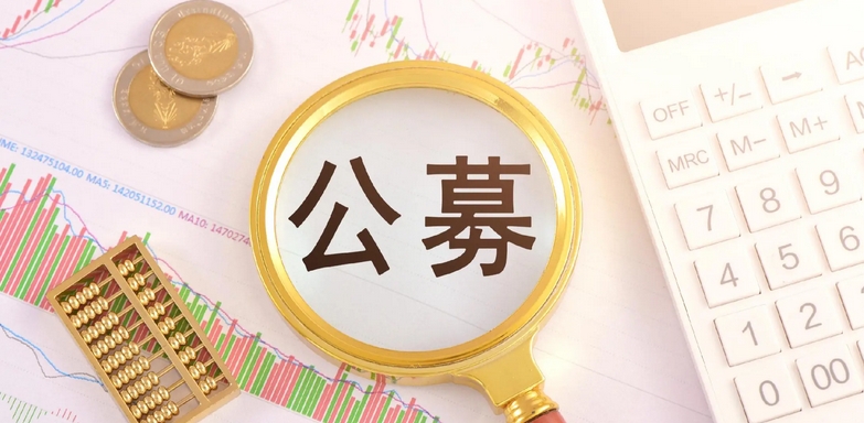 【財(cái)通AH】公募基金二季度持股逾2900隻 重倉(cāng)電子和新能源行業(yè)