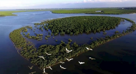 中國新增9個(gè)「國際濕地城市」